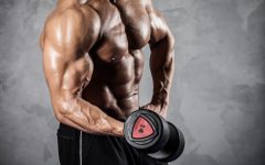 Proteinreiche Ernährung zum effektiven Muskelaufbau