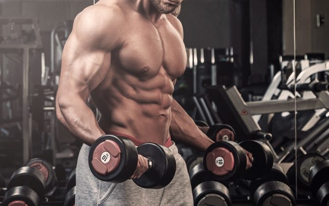 Muskelaufbau - Trainieren an Geräten oder mit freien Gewichten?