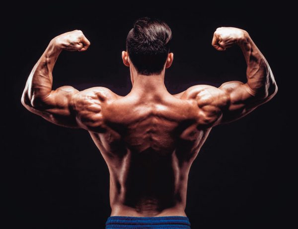 Wie du deine Rückenmuskulatur optimal trainierst
