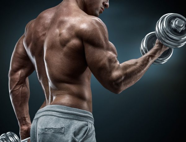 Die richtige Ernährung für den Muskelaufbau: Hochwertiges Protein