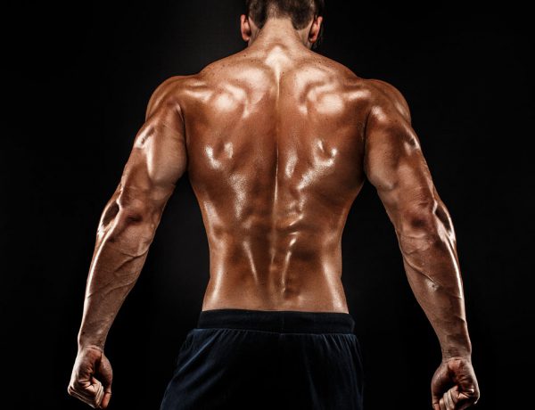 Muskelaufbau: warum Dein Körper kontinuierlich Proteine benötigt