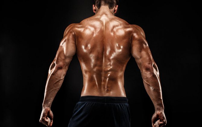 Muskelaufbau: warum Dein Körper kontinuierlich Proteine benötigt