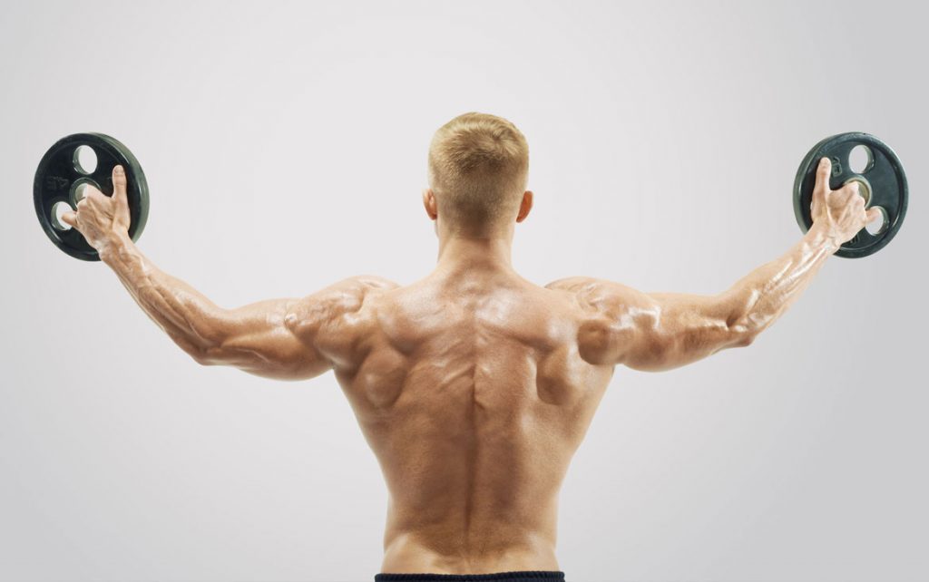 Anatomie Muskel Wie deine Muskeln aufgebaut sind