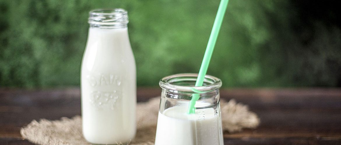 Proteinquellen - Veganer Joghurt einfach und schnell selbstgemacht