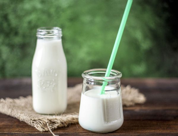 Proteinquellen - Veganer Joghurt einfach und schnell selbstgemacht