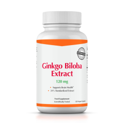 Ginkgo Biloba Extract 120 mg