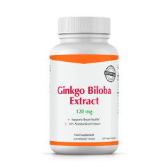 Ginkgo Biloba Extract 120 mg