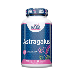 Astragalus 500 mg 60 Kapseln