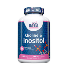 Choline & Inositol 100 Kapseln