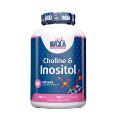 Choline & Inositol 100 Kapseln