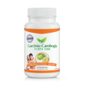 Garcinia Cambogia Forte 1000 mg (Reines Extrakt)