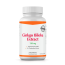 Ginkgo Biloba Extract 120 mg 120 Kapseln